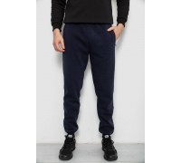 Спортивні штани чоловічі на флісі, колір синій, 244R41526