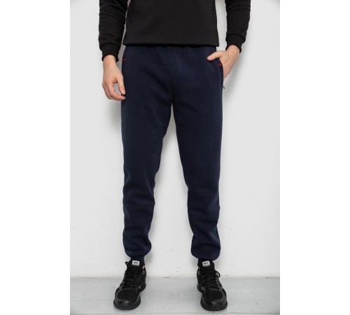 Спортивні штани чоловічі на флісі, колір синій, 244R41526