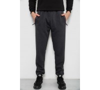 Спортивні штани чоловічі на флісі, колір сірий, 244R41748