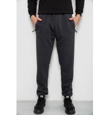 Спортивні штани чоловічі на флісі, колір сірий, 244R41748