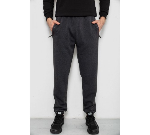Спортивні штани чоловічі на флісі, колір сірий, 244R41748