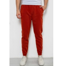 Спортивні штани чоловічі на флісі, колір теракотовий, 238R57256