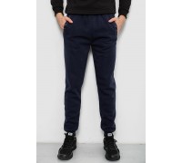 Спортивні штани чоловічі на флісі, колір синій, 244R41553