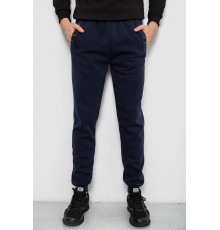 Спортивні штани чоловічі на флісі, колір синій, 244R41553