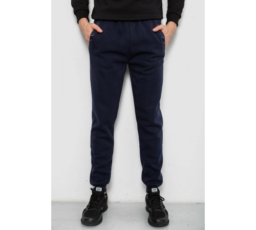 Спортивні штани чоловічі на флісі, колір синій, 244R41553