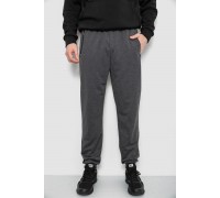 Спортивные штаны мужские, цвет серый, 244R434