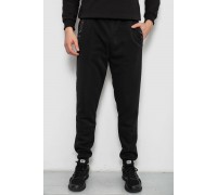 Спортивные штаны мужские на флисе, цвет черный, 244R41553