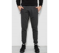 Спортивні штани чоловічі на флісі, колір сірий, 244R41558