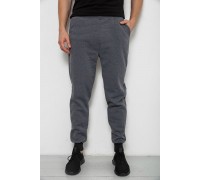 Спортивні чоловічі штани на флісі, колір сірий, 238R56910-5