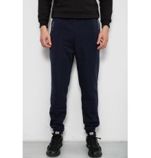 Спортивні штани чоловічі на флісі, колір синій, 244R41558