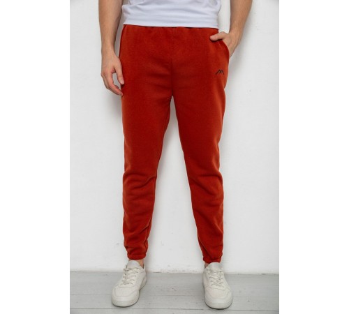 Спортивні штани чоловічі на флісі, колір теракотовий, 238R57256-1