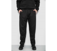 Спортивные штаны мужские, цвет черный, 244R41399