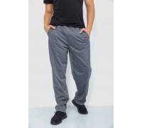 Спортивні штани чоловічі, колір сірий, 244R0668