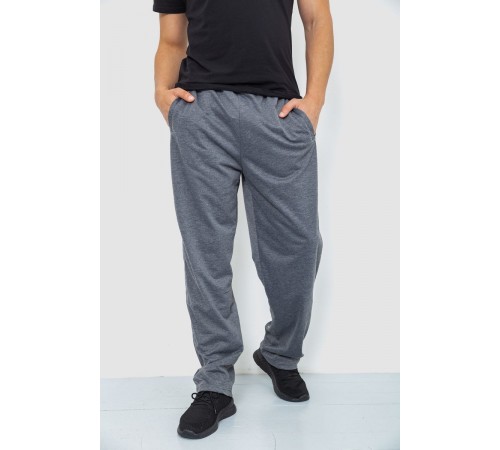 Спортивні штани чоловічі, колір сірий, 244R0668