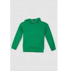 Спортивный костюм детский на флисе, цвет зеленый, 102R1520