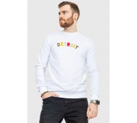 Свитшот мужской демисезонный, цвет белый, 208R0204