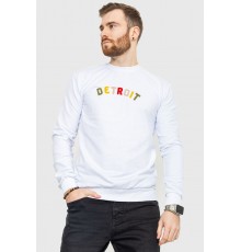 Свитшот мужской демисезонный, цвет белый, 208R0204 Свитшот мужской демисезонный, цвет белый, 208R0204