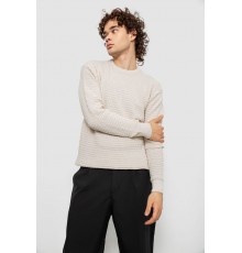 Свитер мужской однотонный, цвет молочный, 161R1040