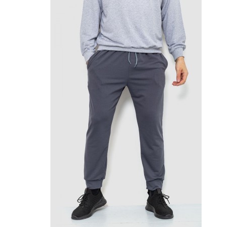 Спортивні штани чоловічі двонитка, колір сірий, 241R8005