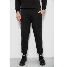 Спортивні штани чоловічі на флісі, колір чорний, 244R6120