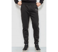 Спорт штаны мужские на флисе, цвет черный, 238R56910