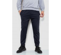 Спортивные штаны мужские двухнитка, цвет темно-синий, 241R8005