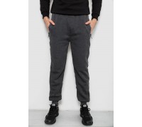 Спортивные штаны мужские на флисе, цвет серый, 244R6120