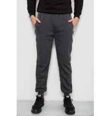 Спортивні штани чоловічі на флісі, колір сірий, 244R6120